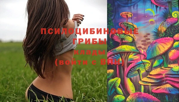 молекула духа Абаза