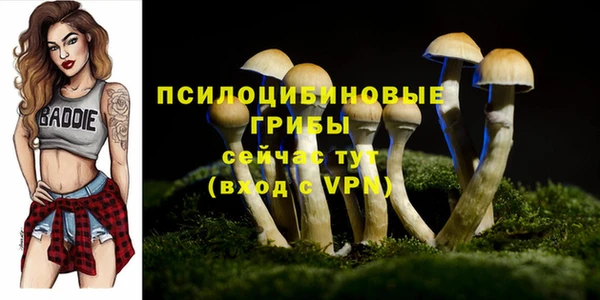 jwh Абинск
