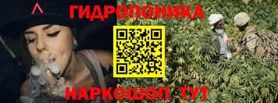 сатива Краснознаменск